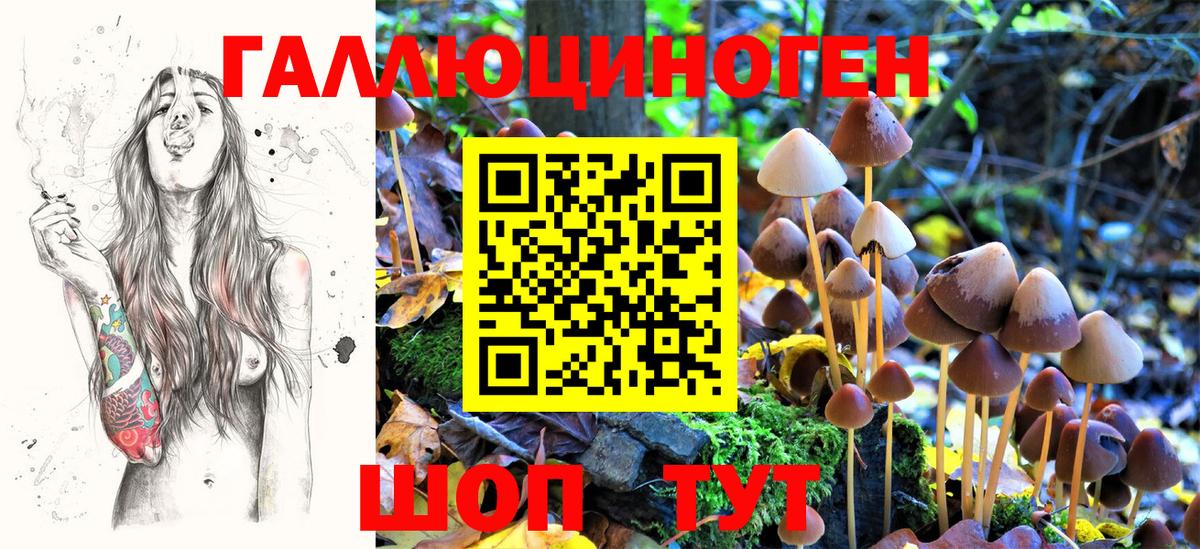 Галлюциногенные грибы Cubensis Моздок