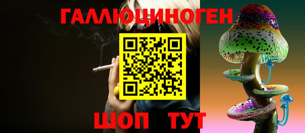 Псилоцибиновые грибы Psilocybine cubensis  как найти закладки  Моздок  Вход с VPN 
